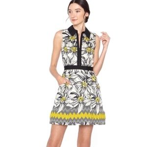 Alice and Olivia Daisy Dress